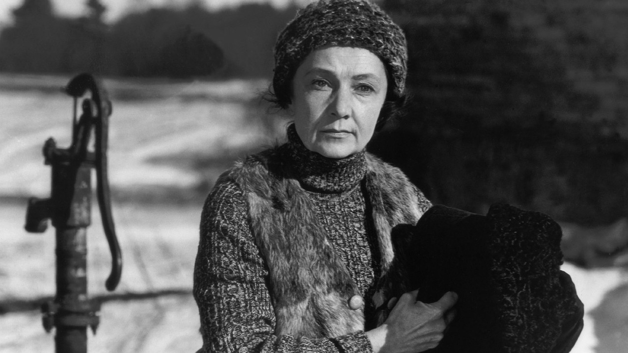 A Woman Heats the Sauna backdrop