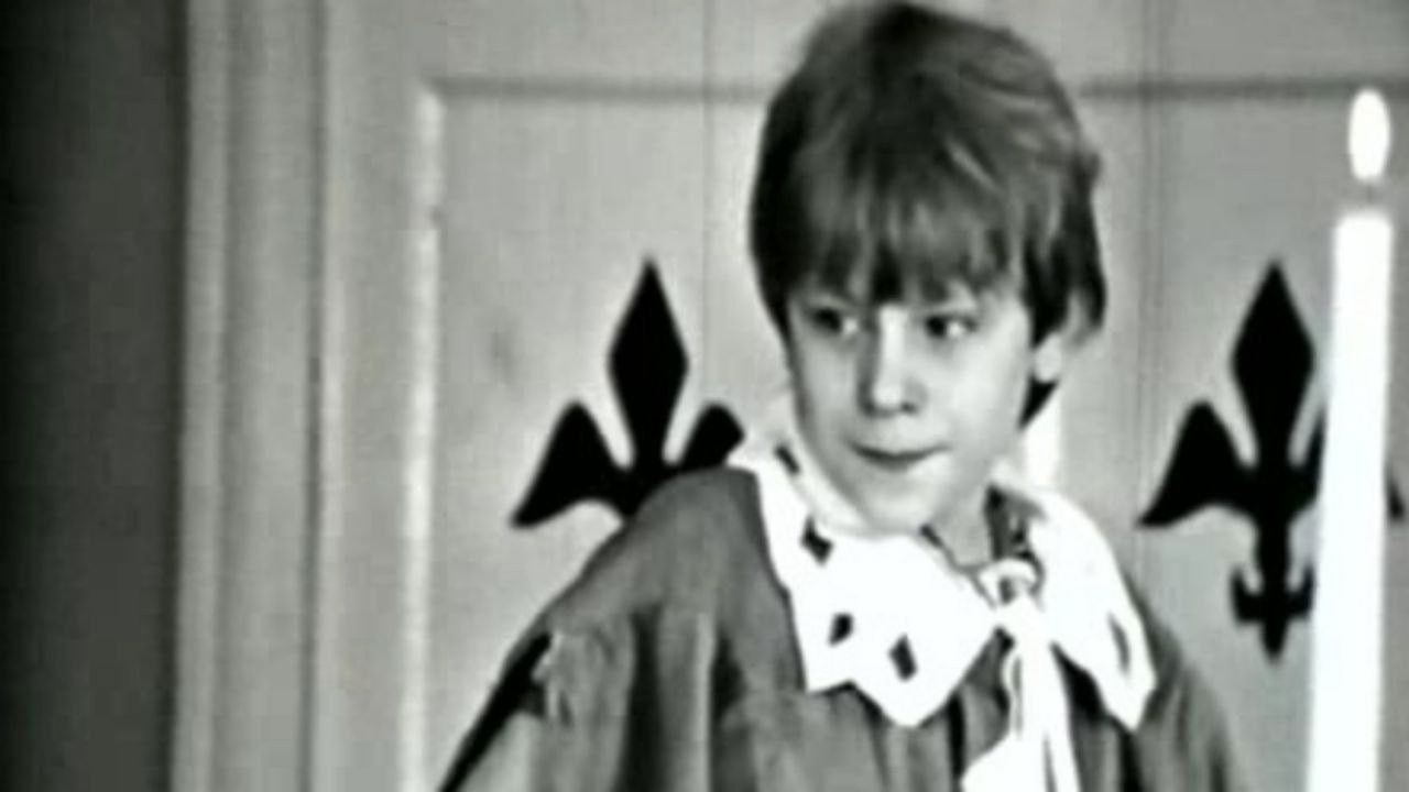 The Three Musketeers, or Twenty Years Later backdrop