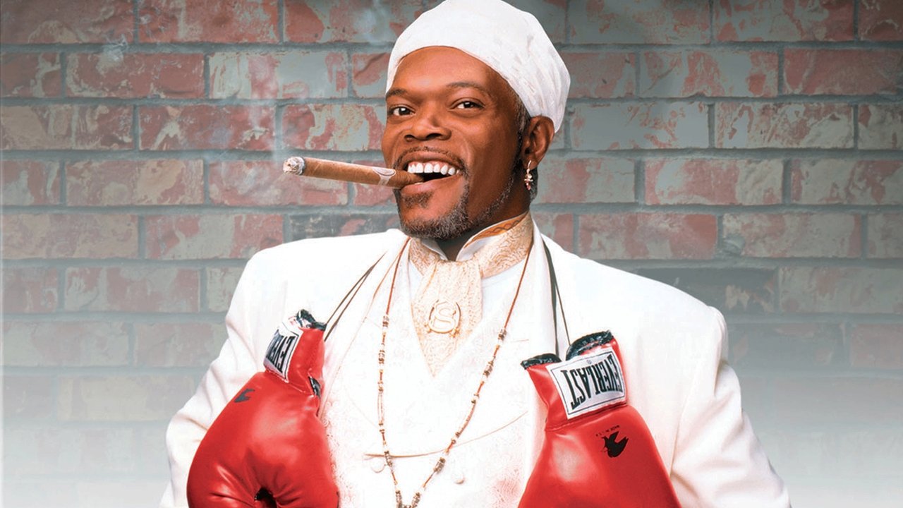 The Great White Hype backdrop