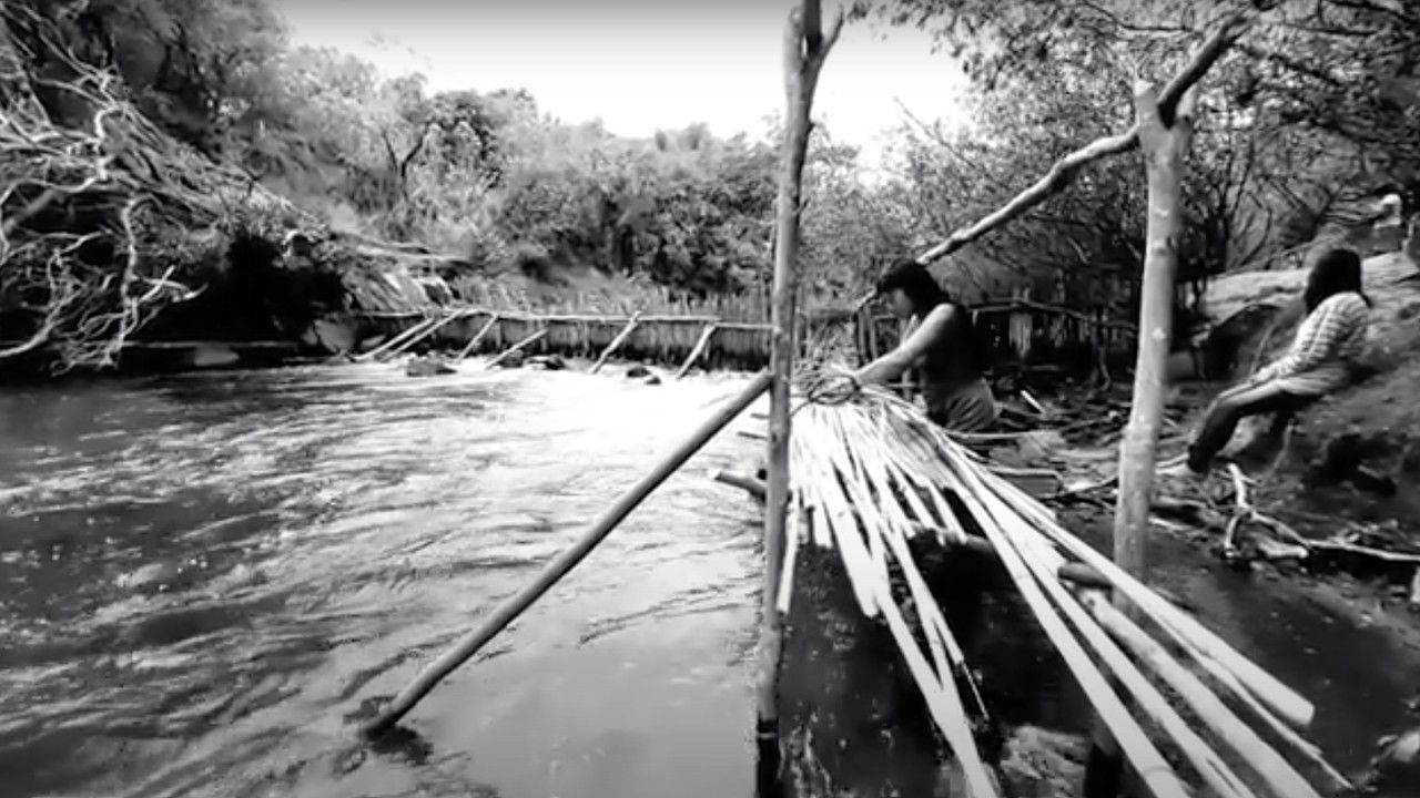Nhemongueta Kunhã Mbaraete backdrop