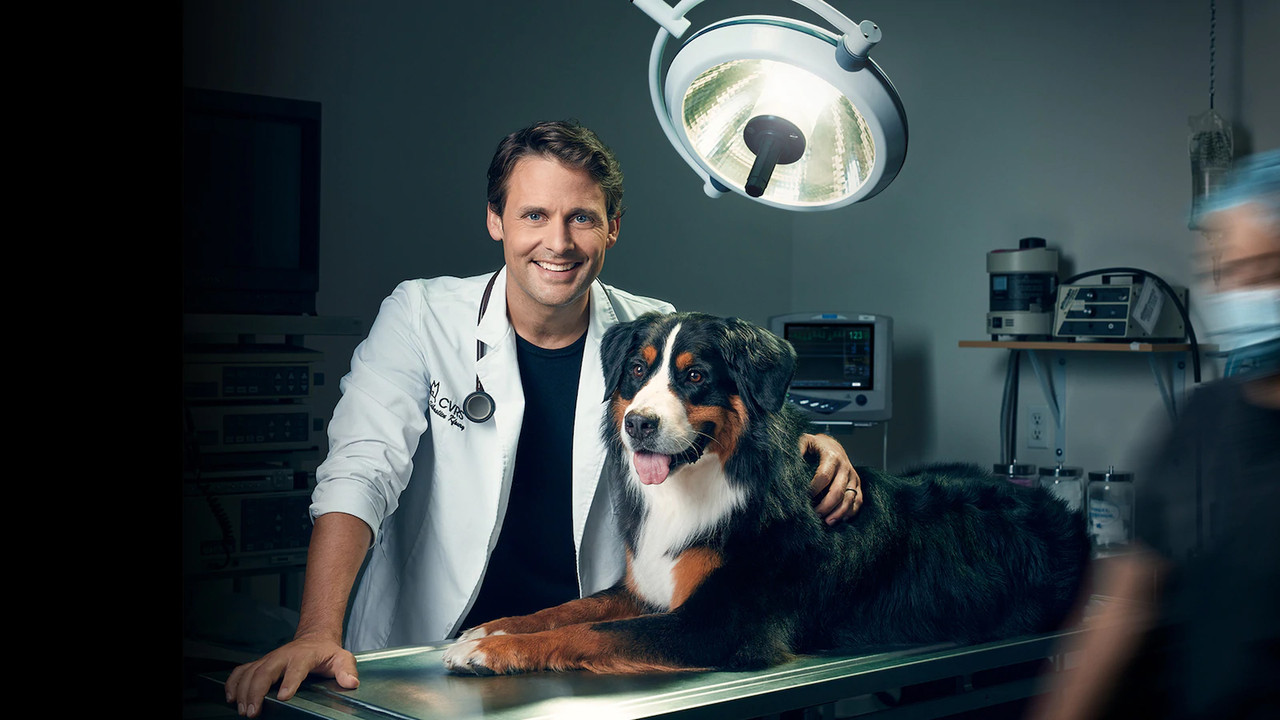 Dr Sébastien, vétérinaire backdrop