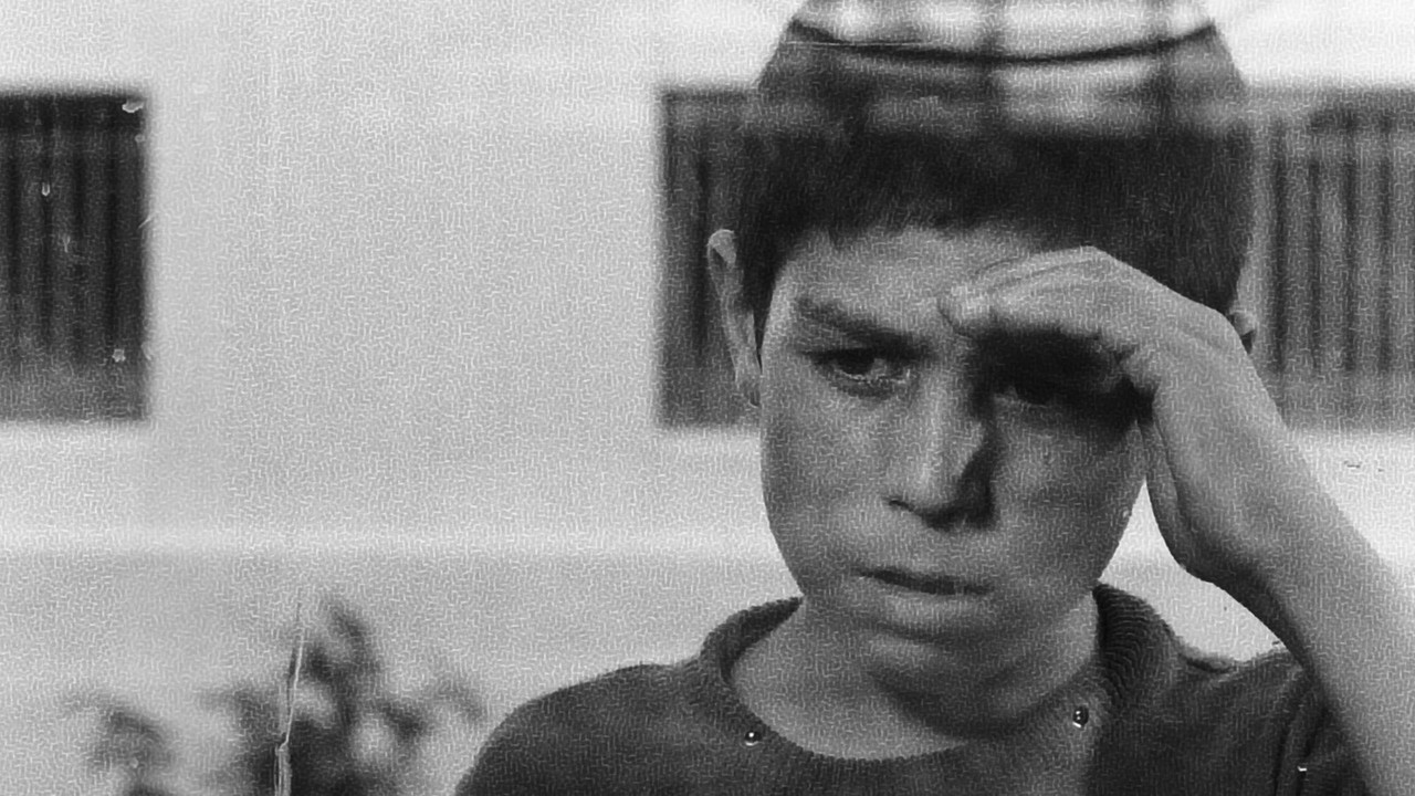 The Traveler backdrop