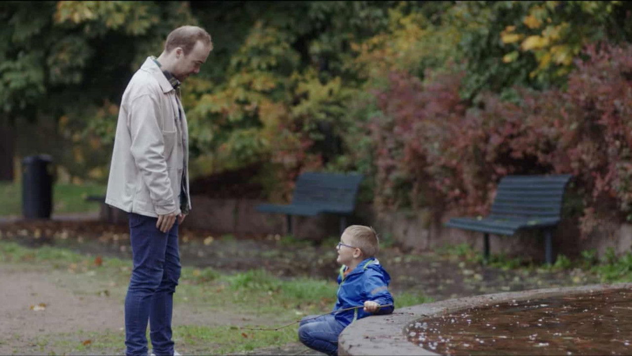 Observation backdrop