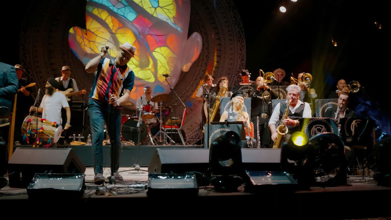 Melbourne Ska Orchestra Live at Bali Spirit Festival backdrop
