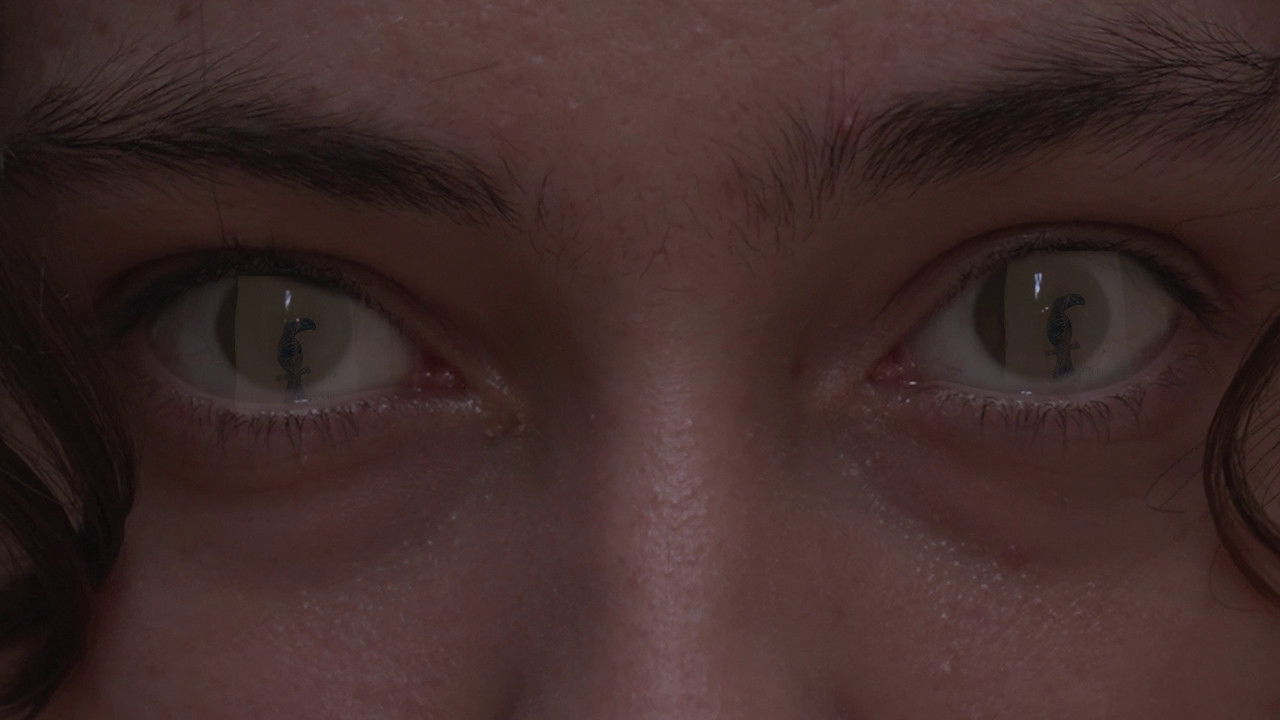 Fantasm'a gogo backdrop