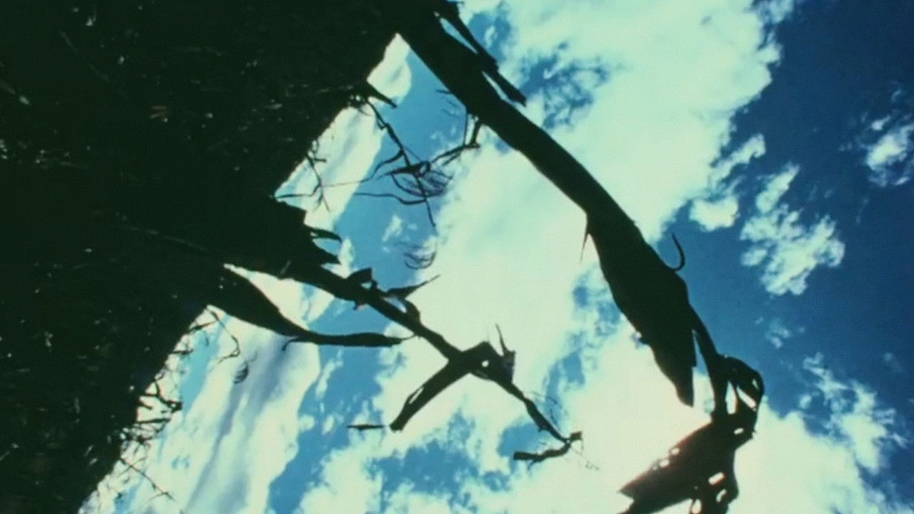 Street Film Part IV backdrop