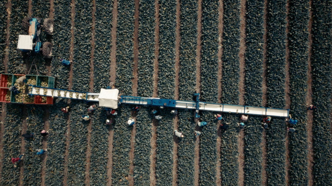 The Age of Water backdrop