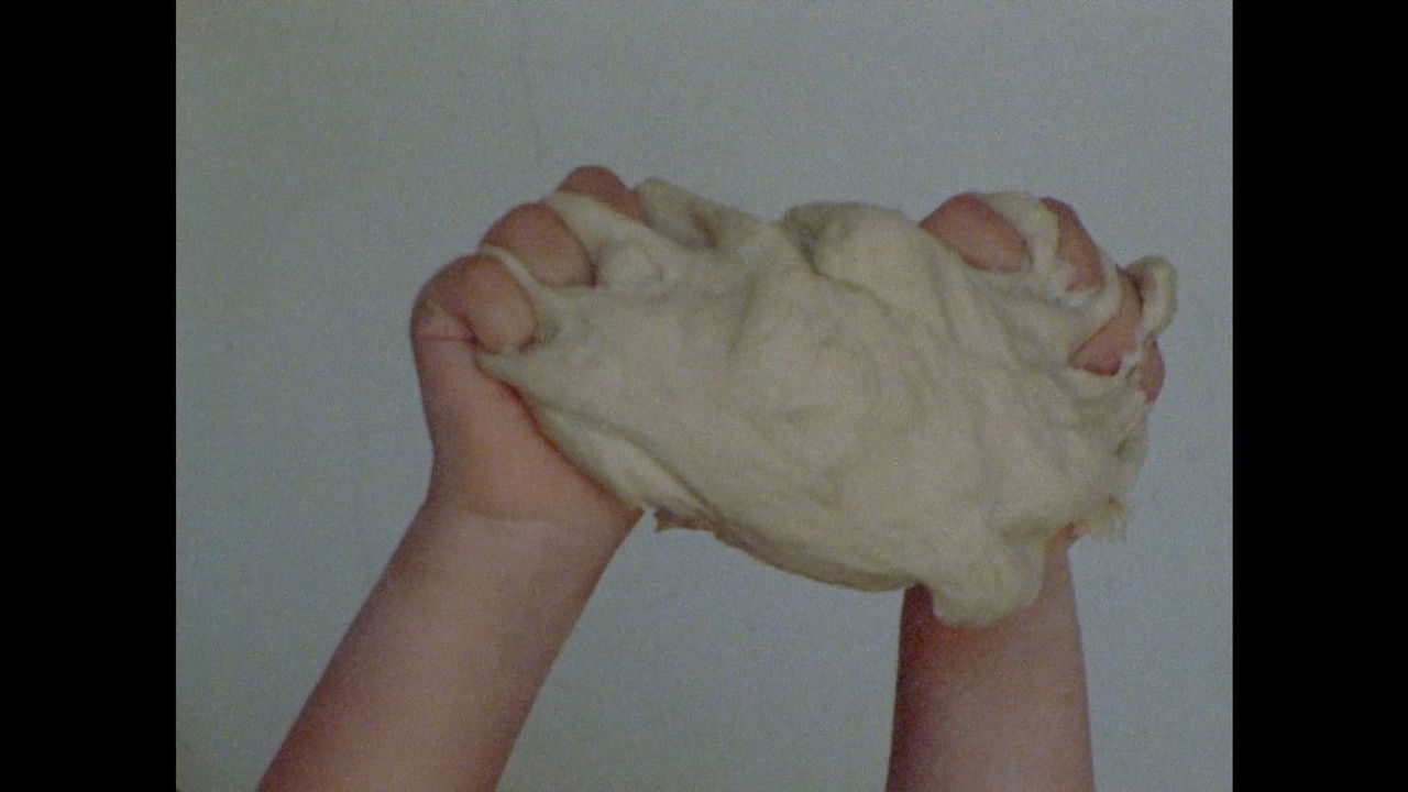 Domesticar Há Milénios backdrop