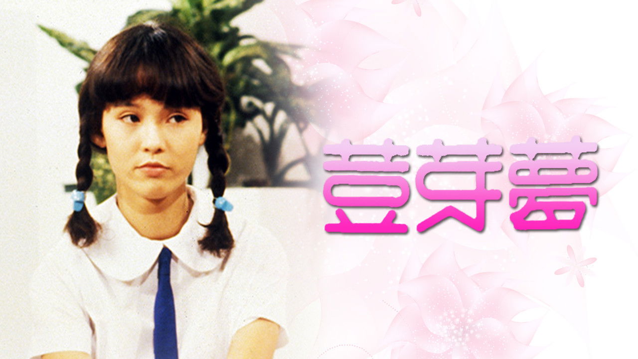 My Little Darling backdrop