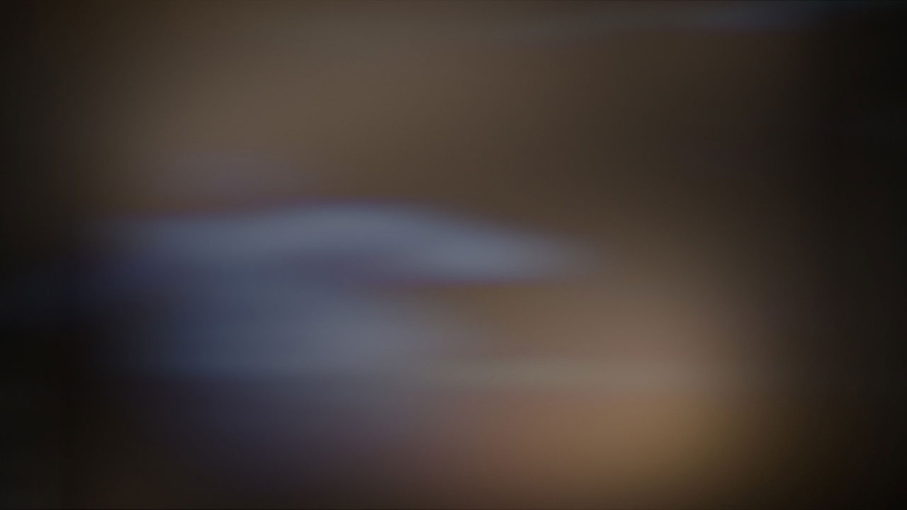 Girassol sem Sol backdrop