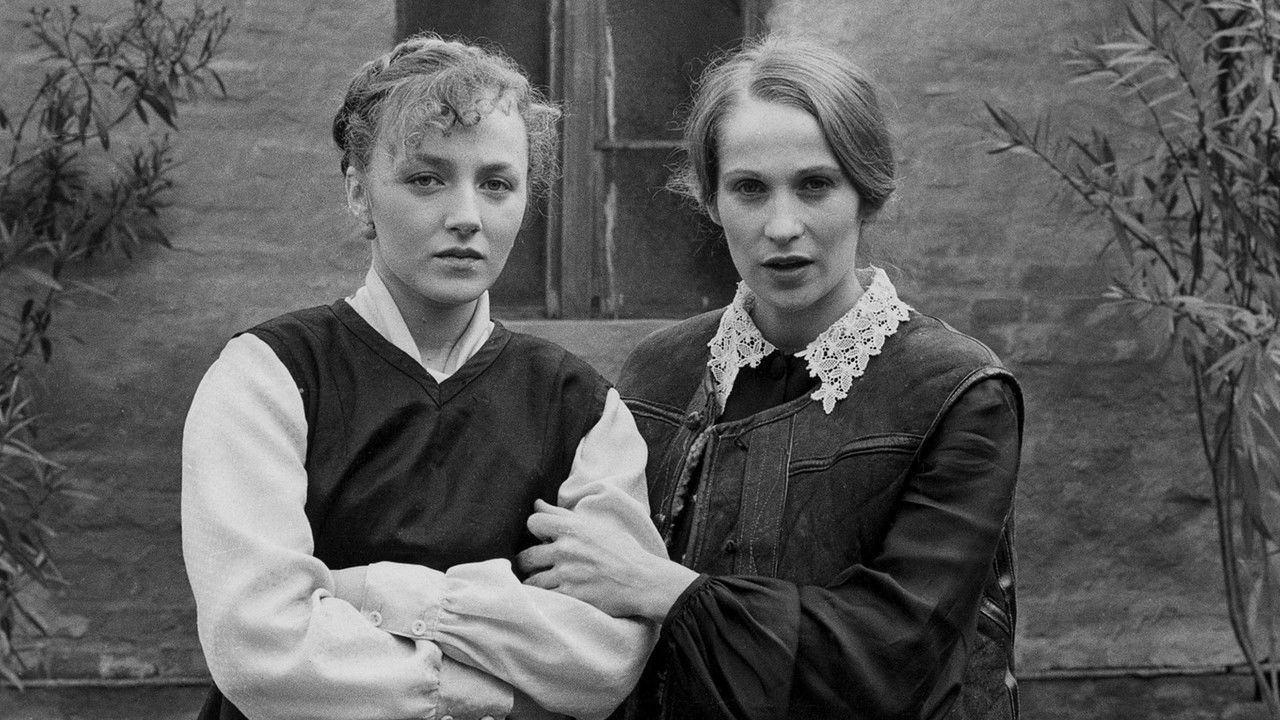 The Medusa Raft backdrop