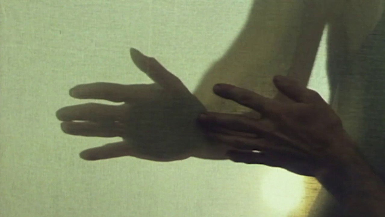 Weht die Angst, so weht der Wind backdrop