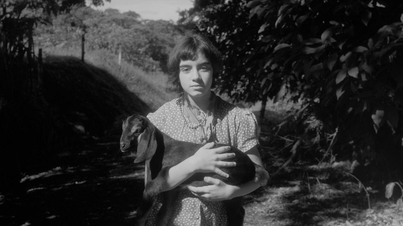 Goat and Mother backdrop