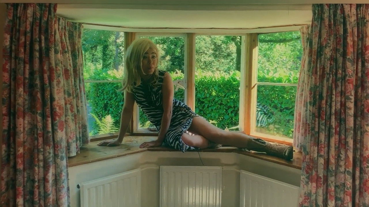 Give Us a Meow backdrop