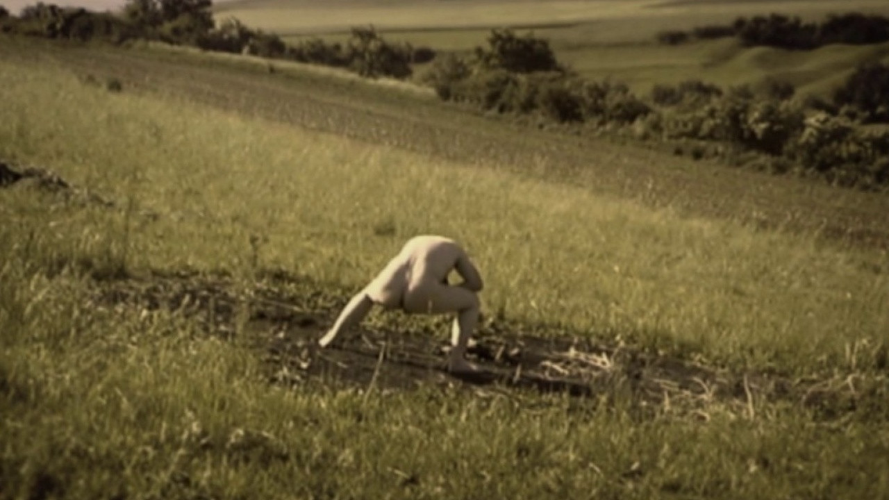 Debris Documentar backdrop