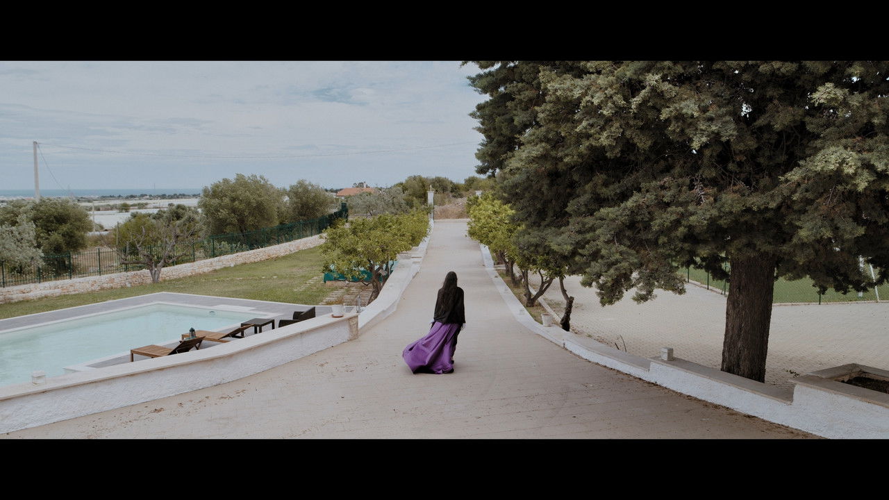 Trick or Treat backdrop