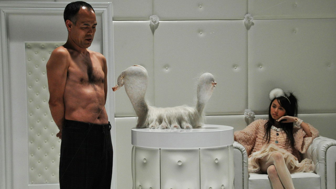 The Warped Forest backdrop