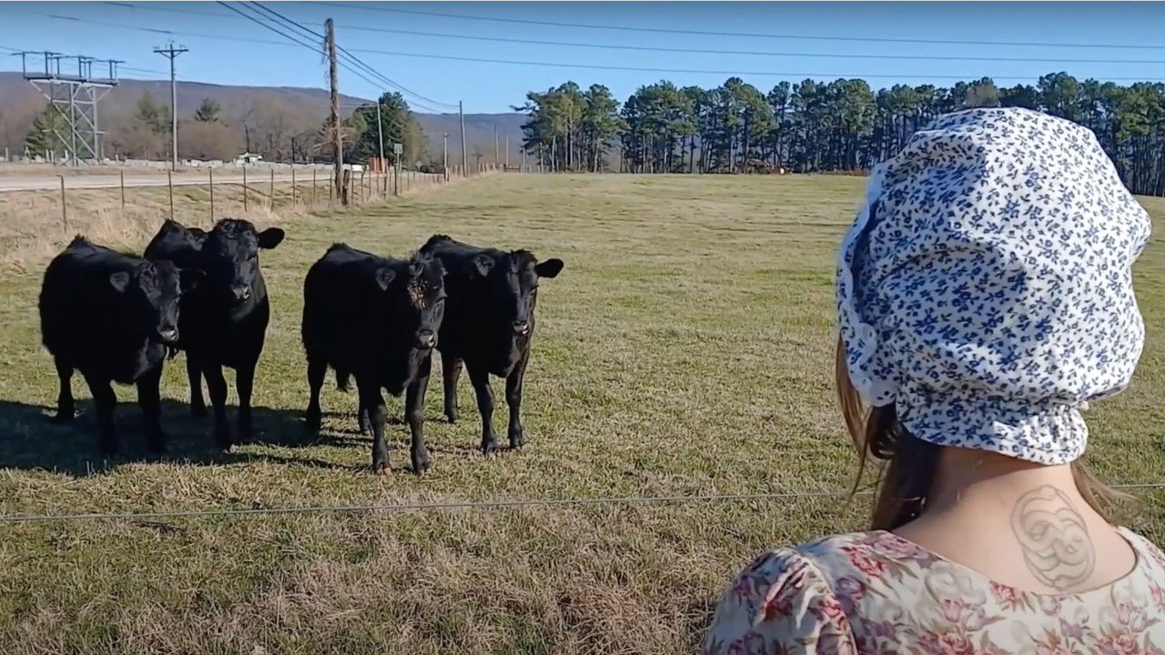 Little Bo Creep backdrop