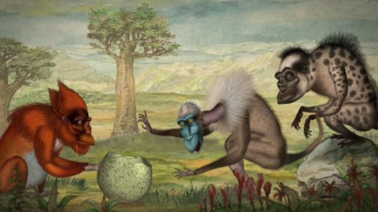 The Lying Angel backdrop