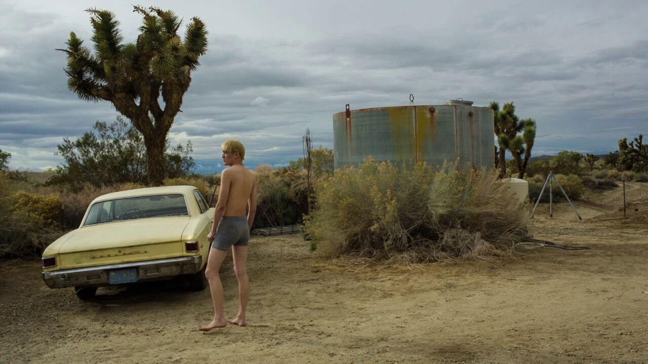 Fallen Blossoms backdrop