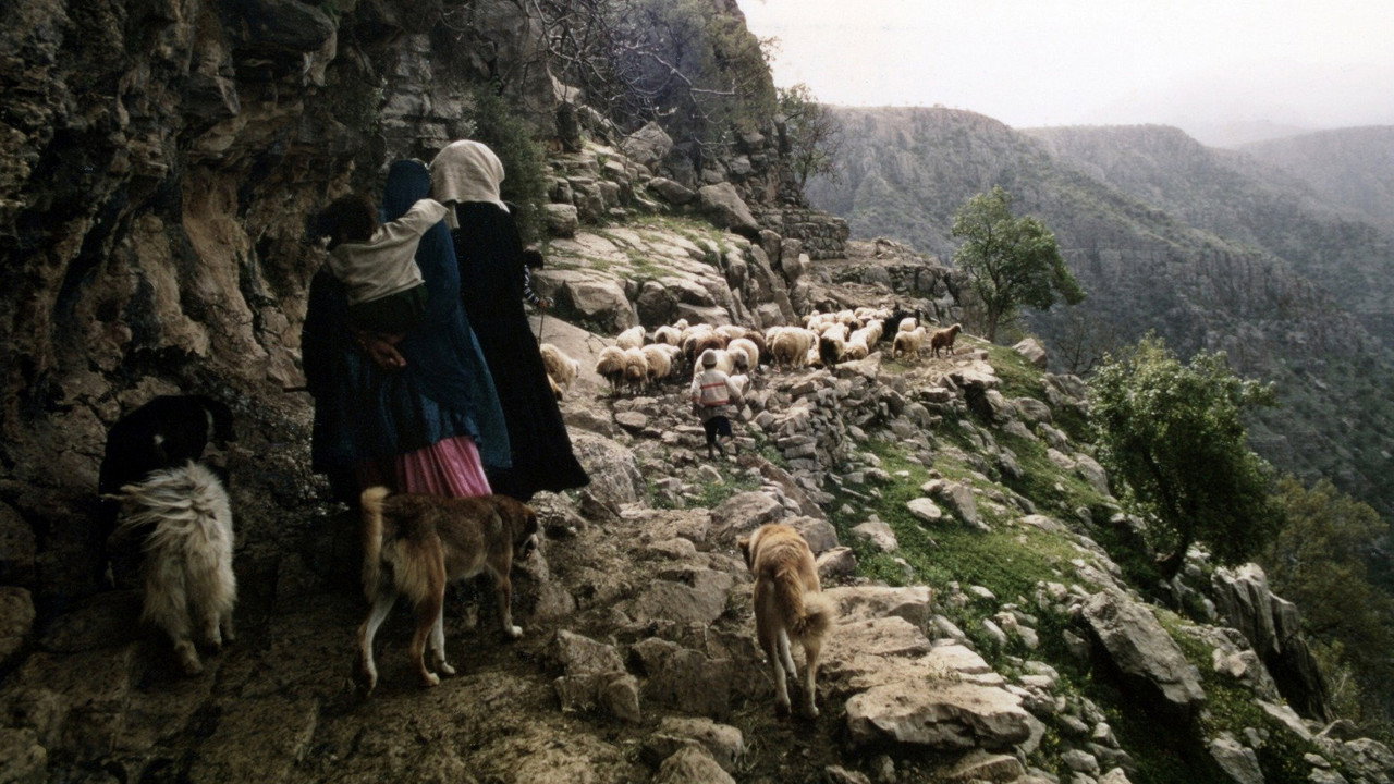 People of the Wind backdrop