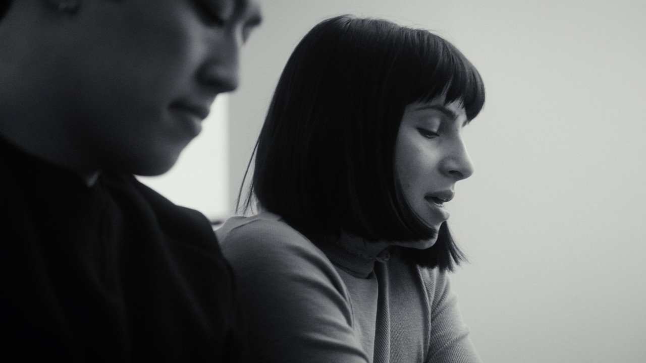 Cat Custody backdrop