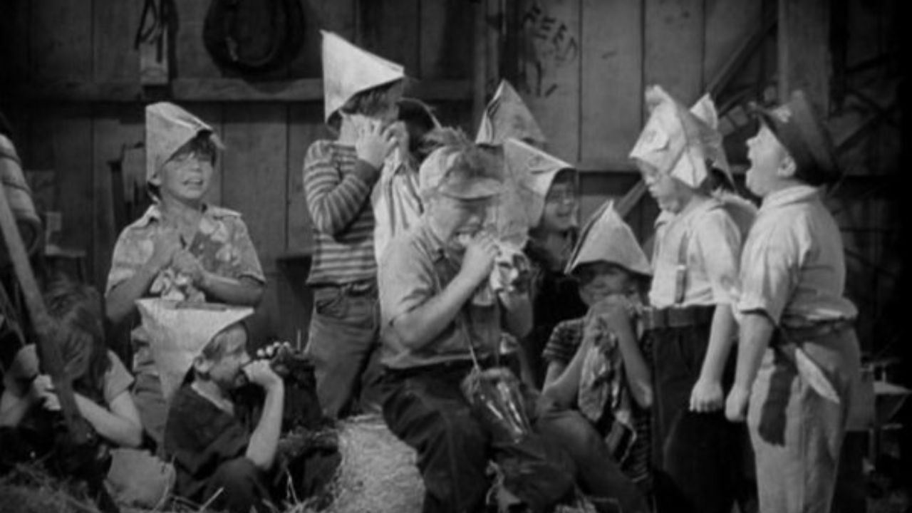 Fightin' Fools backdrop