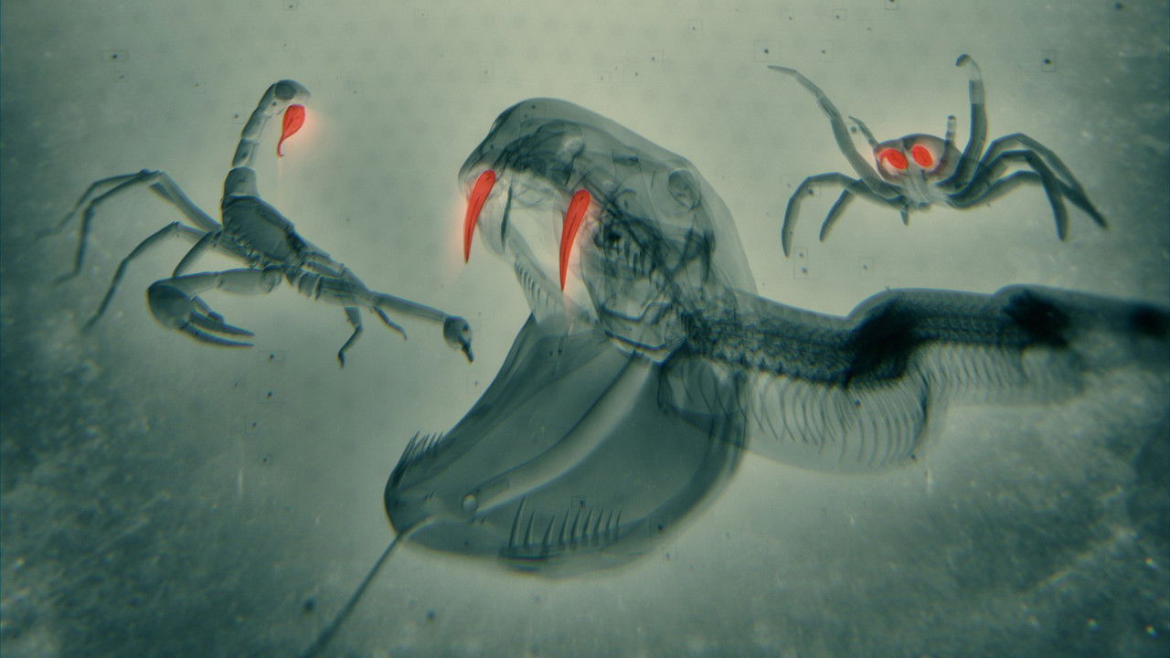 World's Most Toxic Animals backdrop