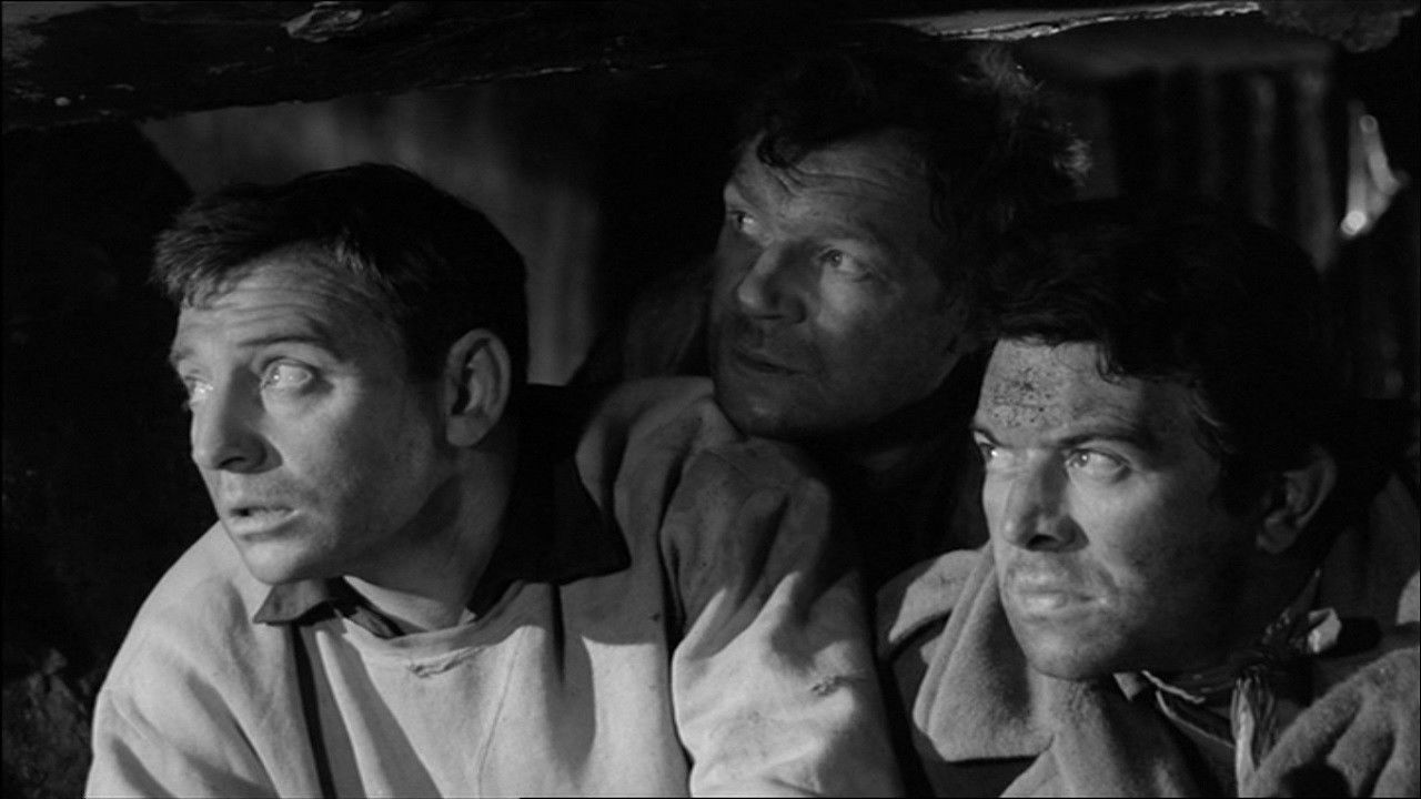 Calculated Risk backdrop