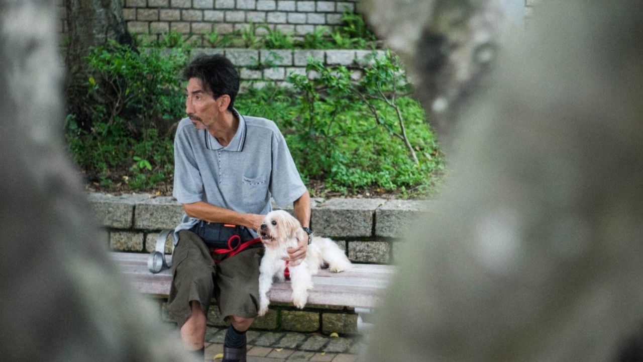 Old Man and A Dog backdrop