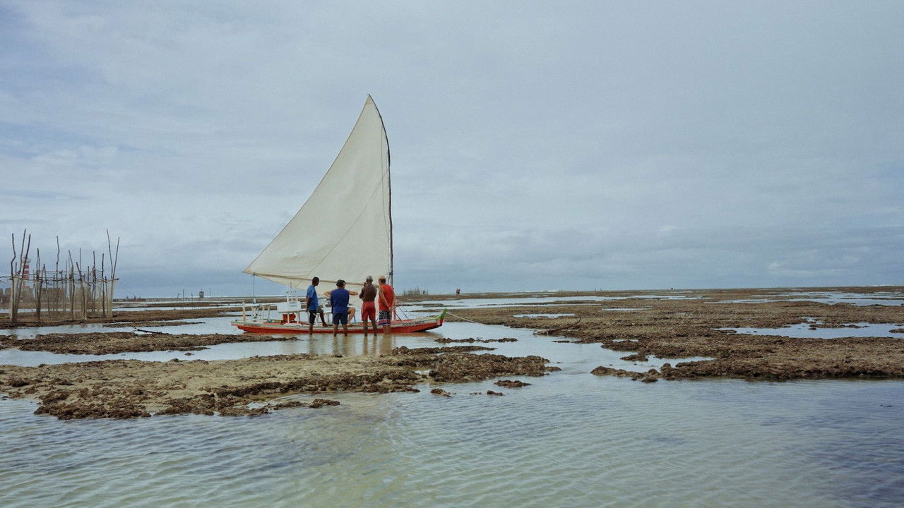 Ammodo Docs backdrop