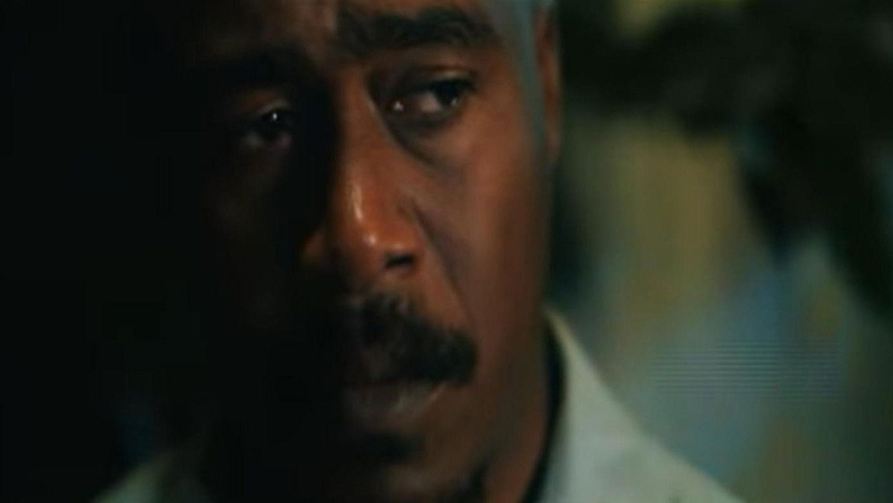 Midnight Clear backdrop