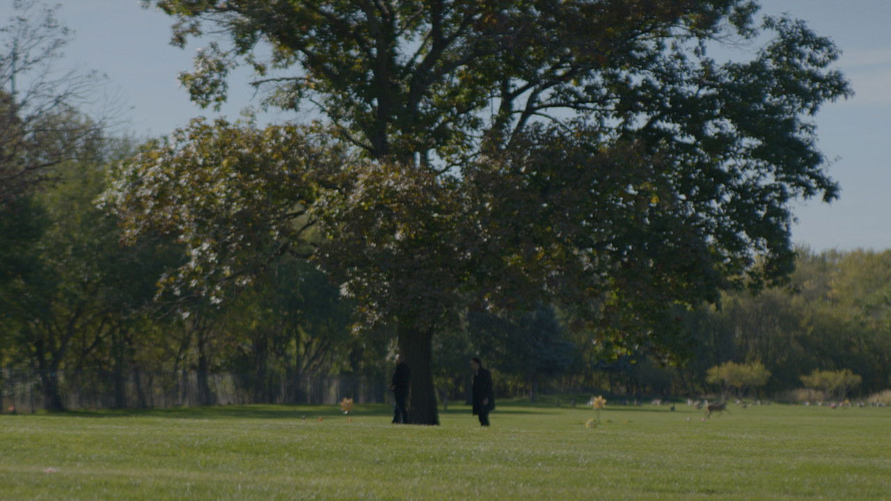 Amongst the Ashes backdrop