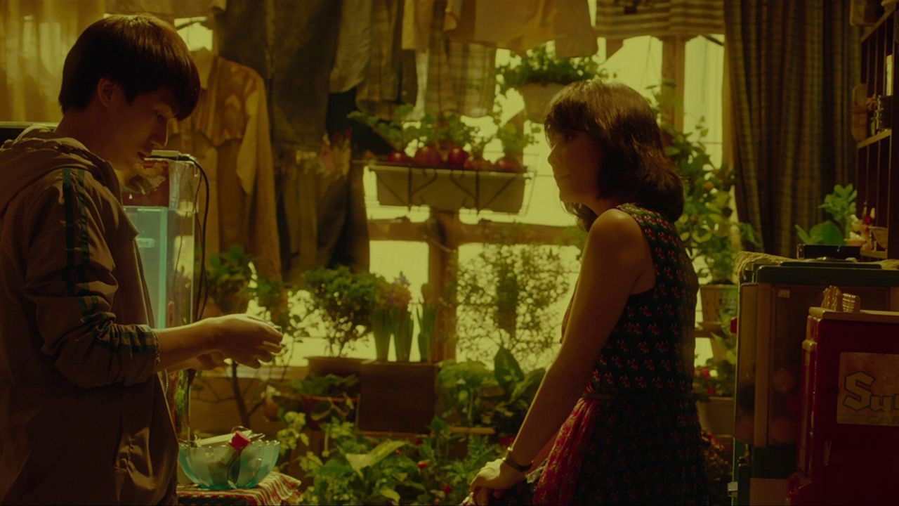 In Your Dreams backdrop