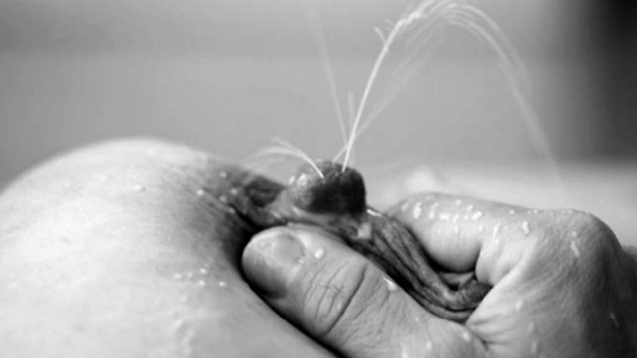 Mamíferas: el hilo de Ariadna backdrop