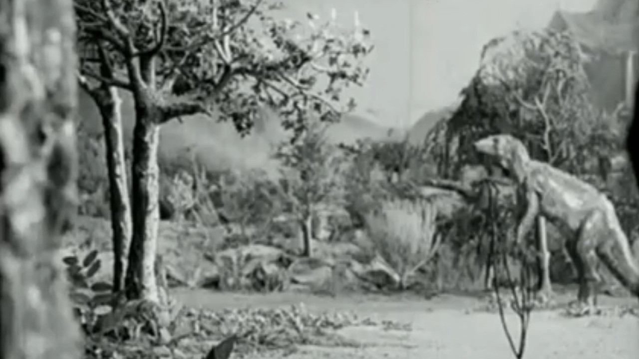 Along the Moonbeam Trail backdrop