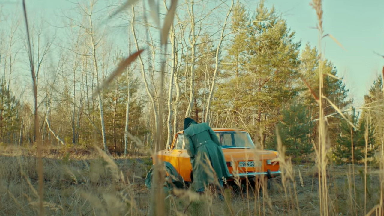 DZIDZIO: MARSIK backdrop