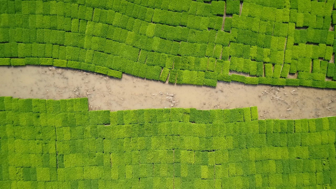 The Memory of Water backdrop