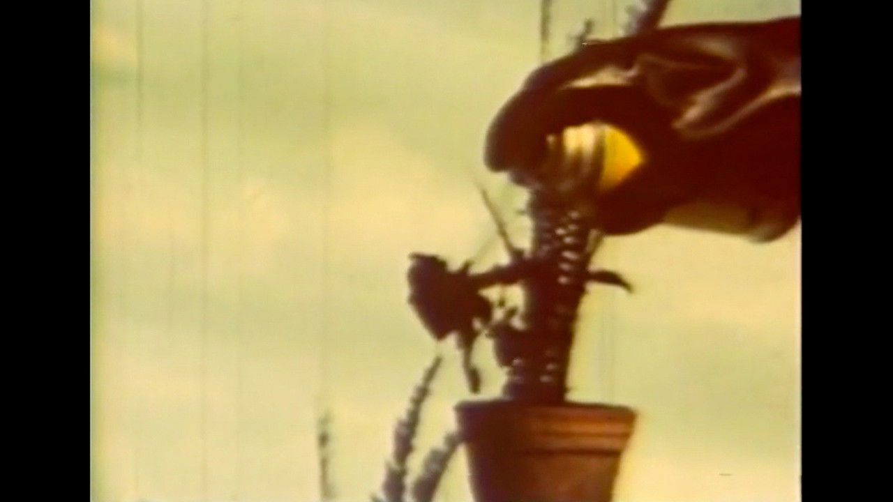 Matinée 3:15 backdrop