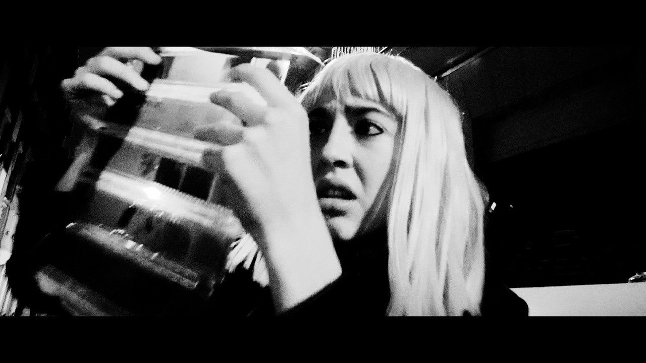 Castells en L'aire backdrop