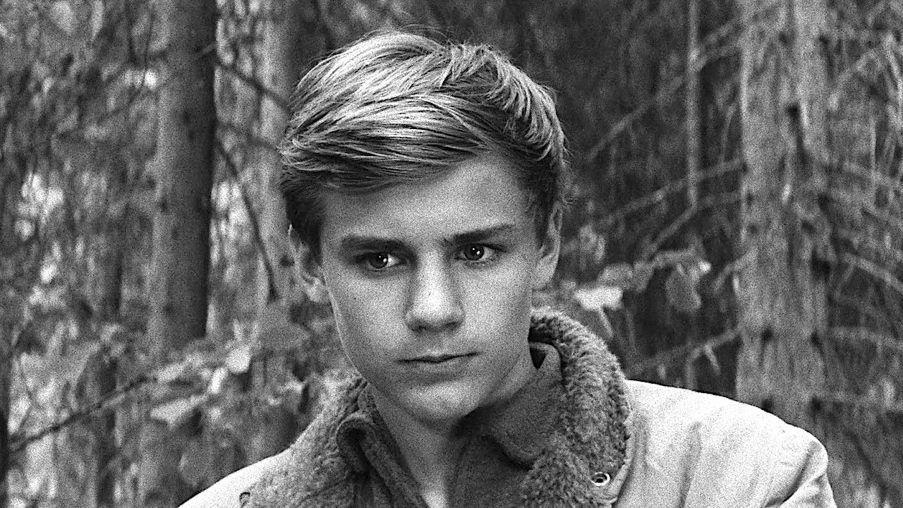 The Boy in the Tree backdrop