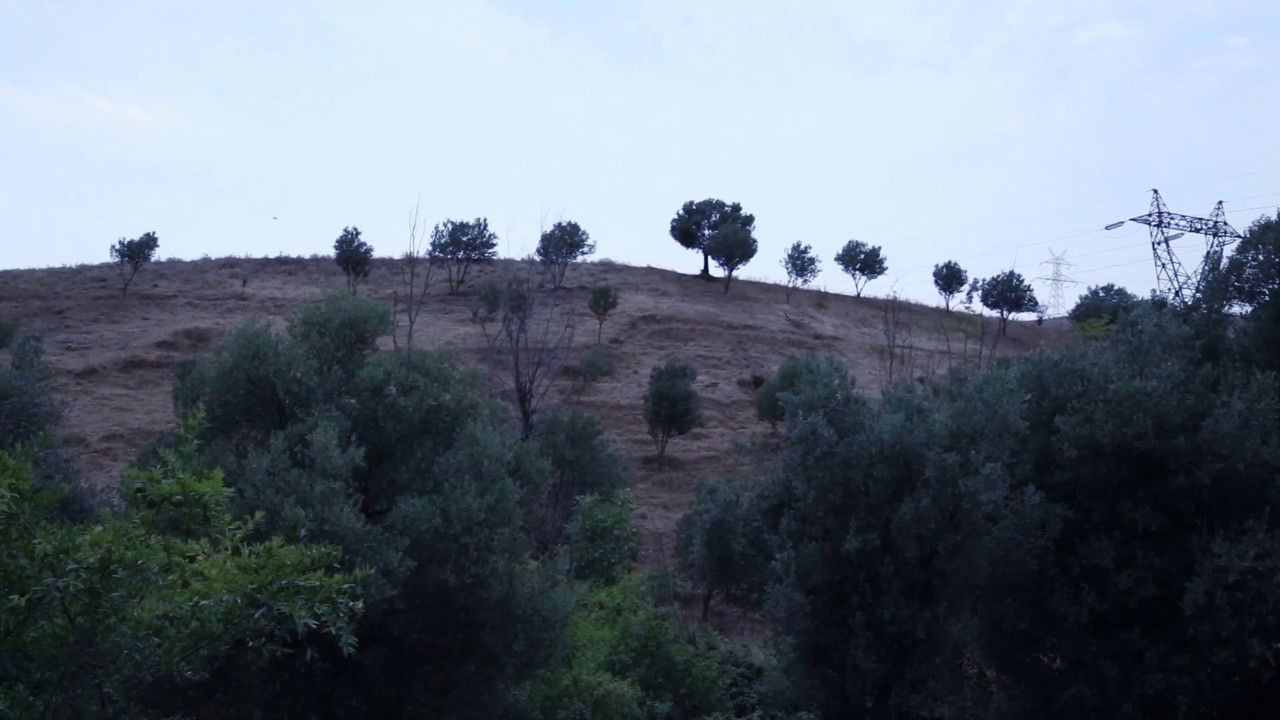 And Kiarostami Goes On backdrop