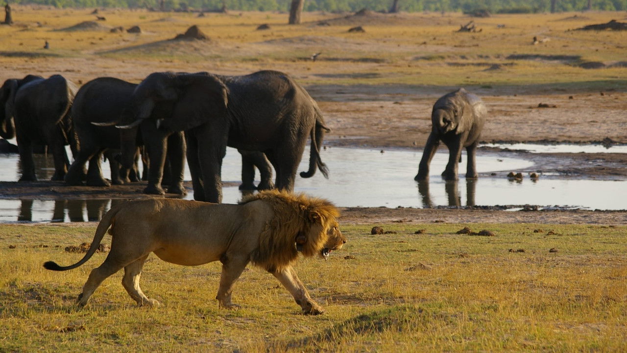 Ultimate Enemies: Revealed backdrop