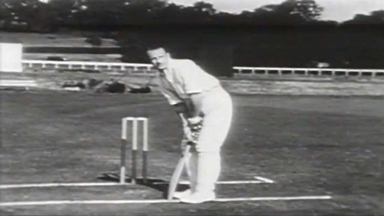 How to Play Cricket backdrop