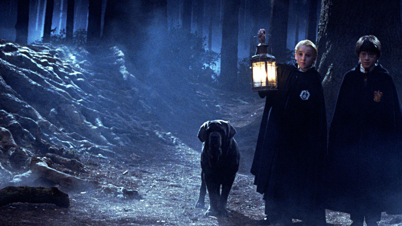 Harry Potter und ein Stein backdrop