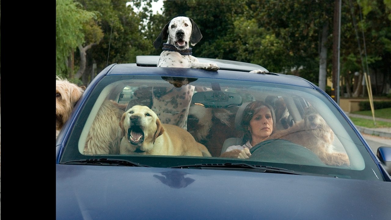 Year of the Dog backdrop