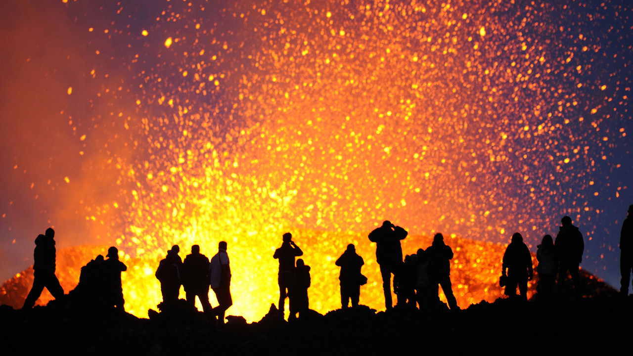 The Human Element backdrop