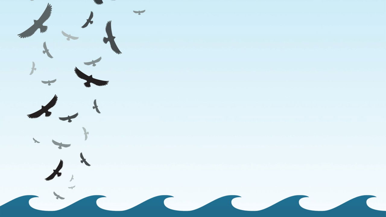 In the Wake of the Flood backdrop