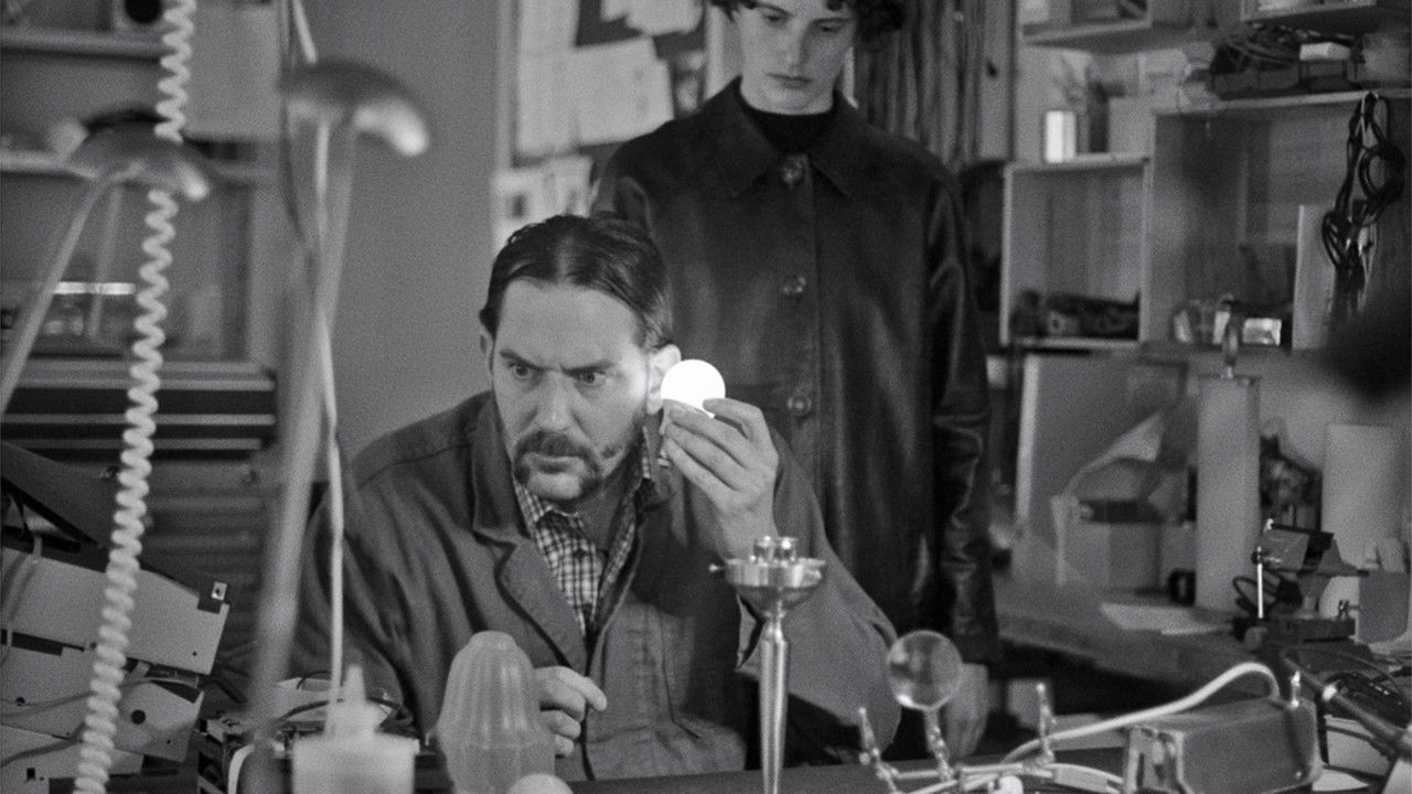 Electric Fields backdrop