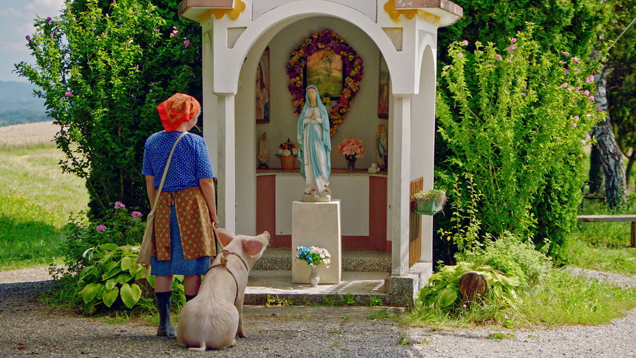 Even Pigs Go to Heaven backdrop